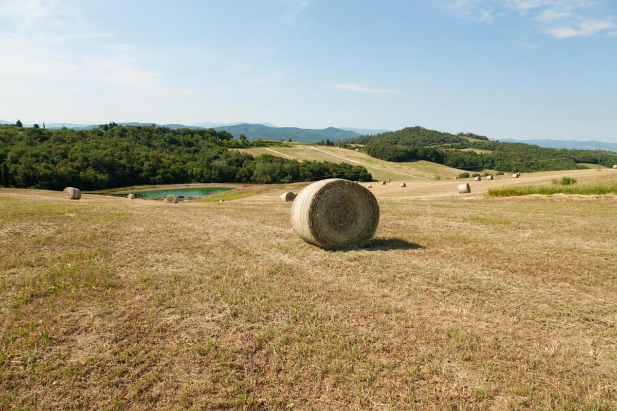 渥尔特拉I Quattro Elementi住宿加早餐旅馆 外观 照片